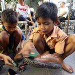 Putus Sekolah: Akar Masalah & Solusi Efektif Putus Sekolah: Akar Masalah & Solusi Efektif